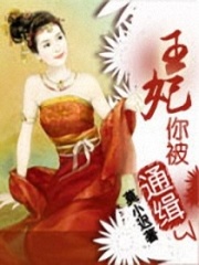 王妃你被通緝了