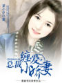 總裁纏愛小嬌妻