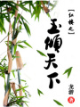 紅樓之玉傾天下