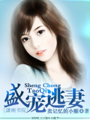 盛寵逃妻