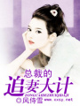 總裁的追妻大計