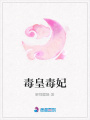 毒皇毒妃