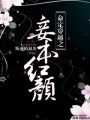 命定穿越之妾本紅顏