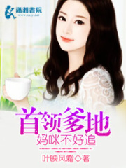 首領爹地,媽咪不好追