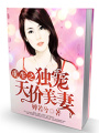 重生之獨(dú)寵天價(jià)美妻
