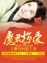 魔君掠愛