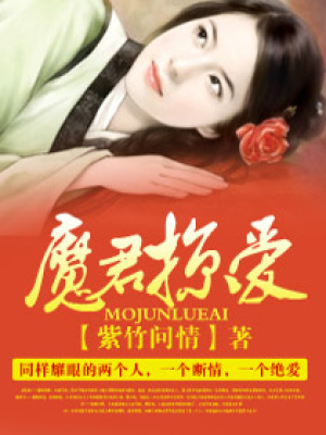 魔君掠愛