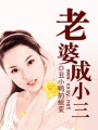老婆成小三