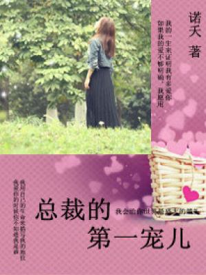 總裁的第一寵兒