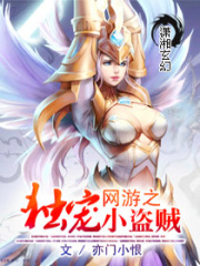 網(wǎng)游之獨(dú)寵小盜賊