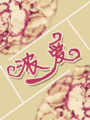 濃愛