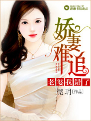 嬌妻難追之老婆我錯了