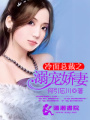 冷面總裁之溺寵嬌妻