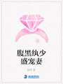 腹黑紈少盛寵妻