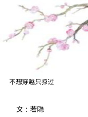 不想穿越只掠過