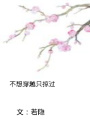 不想穿越只掠過
