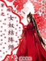 穿越之女奴結陣師