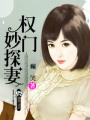 權門妙探妻