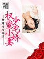權少蜜寵小嬌妻