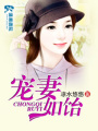 寵妻如飴