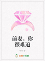 前妻，你很難追