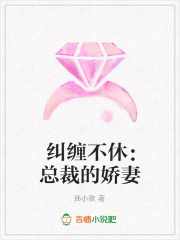 糾纏不休：總裁的嬌妻