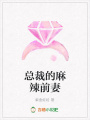 總裁的麻辣前妻