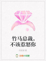 竹馬總裁，不該惹怒你