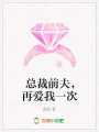 總裁前夫，再愛我一次