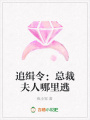 追緝令：總裁夫人哪里逃