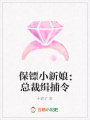 保鏢小新娘：總裁緝捕令