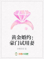 黃金婚約：豪門試用妻