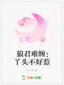 狼君難纏：丫頭不好惹