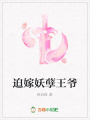 迫嫁妖孽王爺