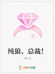 純狼，總裁！