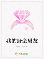 我的野蠻男友