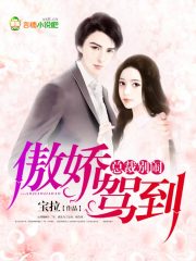 傲嬌老公的浪漫日常