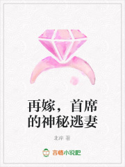 再嫁，首席的神秘逃妻