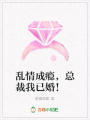 亂情成癮，總裁我已婚！