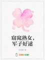 窈窕熟女，軍子好逑