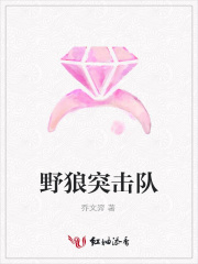 野狼突擊隊