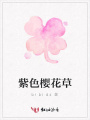 紫色櫻花草