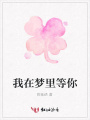 我在夢(mèng)里等你