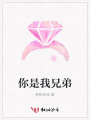 你是我兄弟