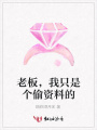 老板，我只是個(gè)偷資料的