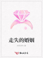 走失的婚姻