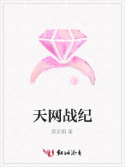 天網(wǎng)戰(zhàn)紀