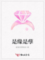 是緣是孽
