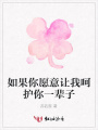 如果你愿意讓我呵護你一輩子