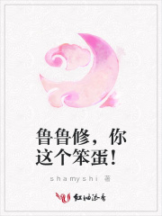 魯魯修，你這個(gè)笨蛋！